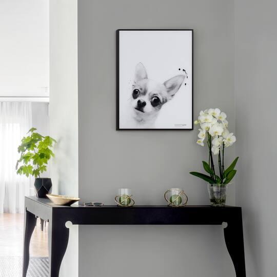 Empire Art Direct 24" x 18" Black & White Chihuahua Pet Reverse Printed Glass Frame Wall Art